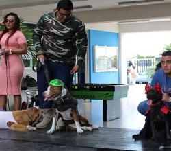 Pasarela Canina en UO Veracruz